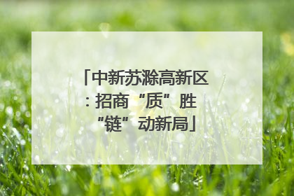 中新苏滁高新区：招商“质”胜 “链”动新局