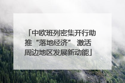 中欧班列密集开行助推“落地经济” 激活周边地区发展新动能