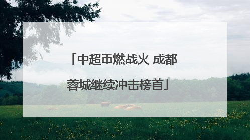 中超重燃战火 成都蓉城继续冲击榜首