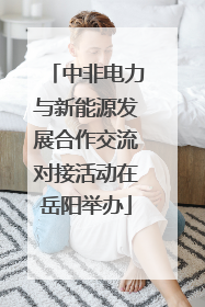 中非电力与新能源发展合作交流对接活动在岳阳举办