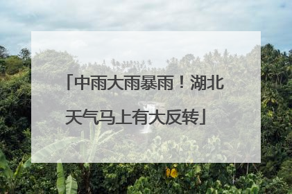 中雨大雨暴雨！湖北天气马上有大反转