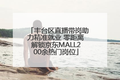 丰台区直播带岗助力精准就业 零距离解锁京东MALL200余热门岗位