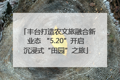 丰台打造农文旅融合新业态 “5.20”开启沉浸式“田园”之旅