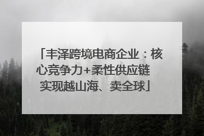 丰泽跨境电商企业：核心竞争力+柔性供应链 实现越山海、卖全球