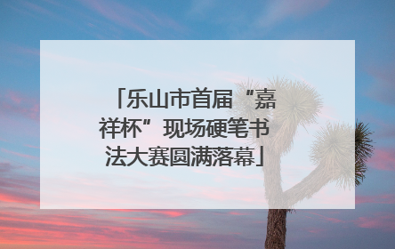 乐山市首届“嘉祥杯”现场硬笔书法大赛圆满落幕