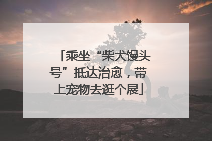 乘坐“柴犬馒头号”抵达治愈，带上宠物去逛个展