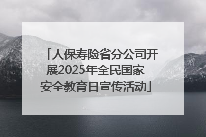 人保寿险省分公司开展2025年全民国家安全教育日宣传活动
