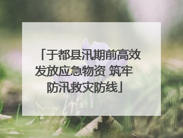 于都县汛期前高效发放应急物资 筑牢防汛救灾防线