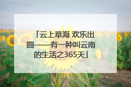 云上草海 欢乐出圈——有一种叫云南的生活之365天