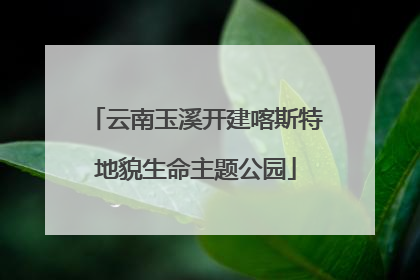 云南玉溪开建喀斯特地貌生命主题公园