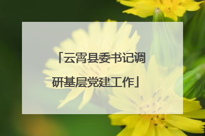云霄县委书记调研基层党建工作