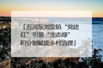 五河东刘集镇“党建红”引领“生态绿” 积分制赋能乡村治理