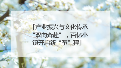 产业振兴与文化传承“双向奔赴”，百亿小镇开启新“筝”程