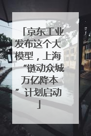 京东工业发布这个大模型，上海“链动众城 万亿降本”计划启动