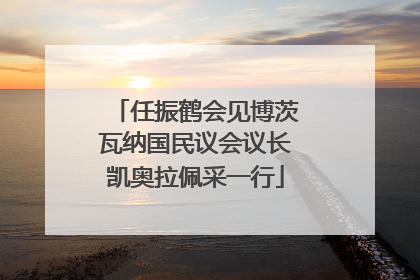 任振鹤会见博茨瓦纳国民议会议长凯奥拉佩采一行