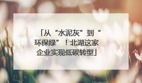 从“水泥灰”到“环保绿”！北湖这家企业实现低碳转型