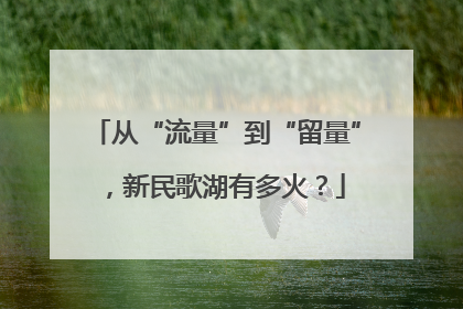 从“流量”到“留量”，新民歌湖有多火？