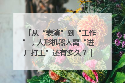 从“表演”到“工作”，人形机器人离“进厂打工”还有多久？｜机器人商业新纪元
