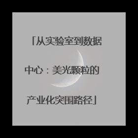 从实验室到数据中心：美光颗粒的产业化突围路径