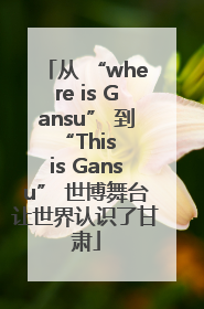 从 “where is Gansu” 到 “This is Gansu” 世博舞台让世界认识了甘肃