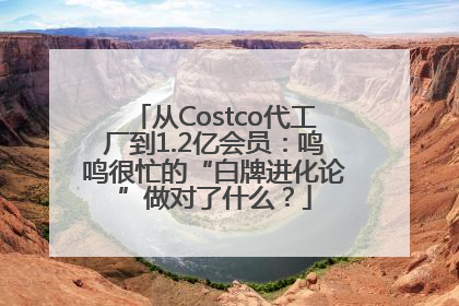 从Costco代工厂到1.2亿会员：鸣鸣很忙的“白牌进化论”做对了什么？