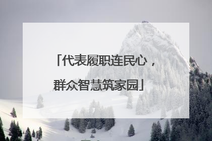 代表履职连民心，群众智慧筑家园