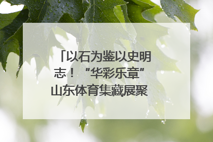 以石为鉴以史明志！“华彩乐章”山东体育集藏展聚焦“岱石丹心”