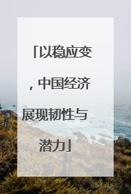 以稳应变，中国经济展现韧性与潜力