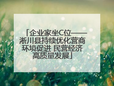 企业家坐C位——淅川县持续优化营商环境促进 民营经济高质量发展