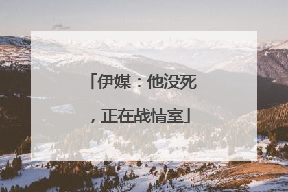 伊媒：他没死，正在战情室