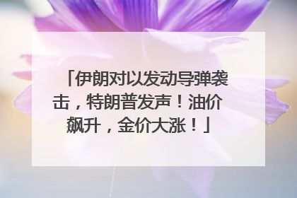 伊朗对以发动导弹袭击，特朗普发声！油价飙升，金价大涨！