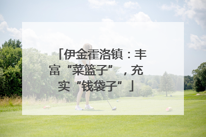 伊金霍洛镇：丰富“菜篮子”，充实“钱袋子”