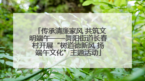 传承清廉家风 共筑文明端午——舞阳街道长春村开展“树道德新风 扬端午文化”主题活动