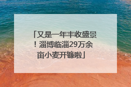 又是一年丰收盛景！淄博临淄29万余亩小麦开镰啦