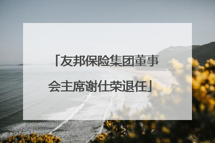 友邦保险集团董事会主席谢仕荣退任