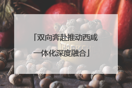 双向奔赴推动西咸一体化深度融合