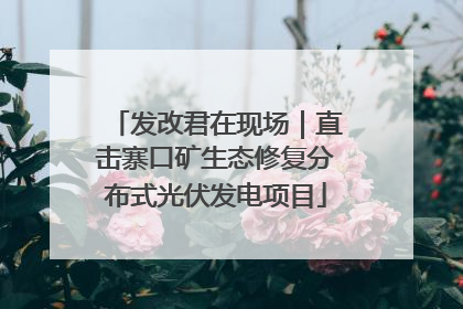 发改君在现场｜直击寨口矿生态修复分布式光伏发电项目