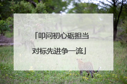 叩问初心砺担当 对标先进争一流