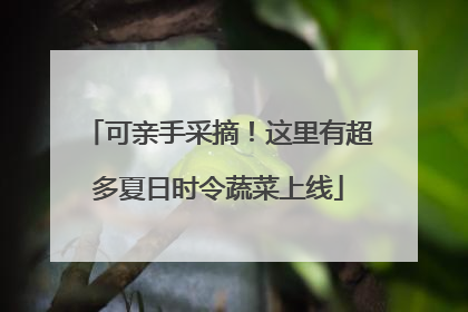 可亲手采摘！这里有超多夏日时令蔬菜上线