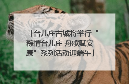 台儿庄古城将举行“粽情台儿庄 舟歌赋安康”系列活动迎端午