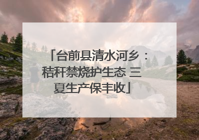 台前县清水河乡：秸秆禁烧护生态 三夏生产保丰收