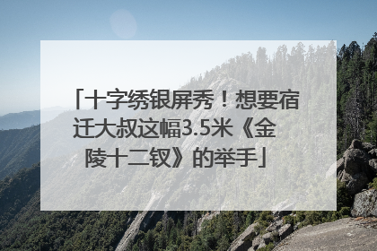 十字绣银屏秀！想要宿迁大叔这幅3.5米《金陵十二钗》的举手
