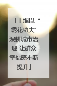 十堰以“绣花功夫”深耕城市治理 让群众幸福感不断提升