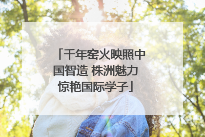 千年窑火映照中国智造 株洲魅力惊艳国际学子