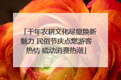 千年农耕文化尽显焕新魅力 民俗节庆点燃游客热情 撬动消费热潮