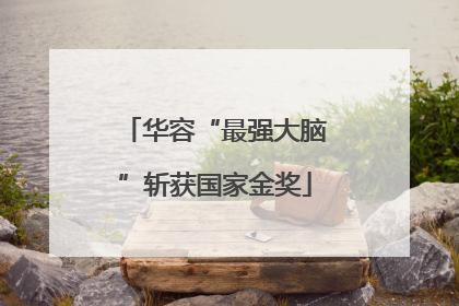 华容“最强大脑”斩获国家金奖
