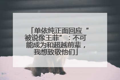 单依纯正面回应“被说像王菲”：不可能成为和超越前辈，我想致敬他们