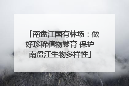 南盘江国有林场：做好珍稀植物繁育 保护南盘江生物多样性