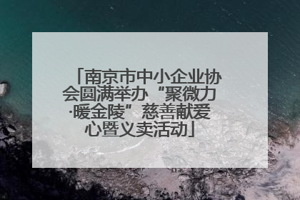 南京市中小企业协会圆满举办“聚微力·暖金陵”慈善献爱心暨义卖活动