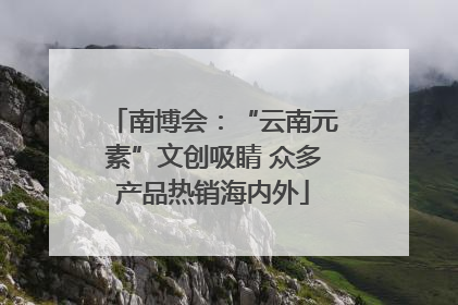 南博会：“云南元素”文创吸睛 众多产品热销海内外